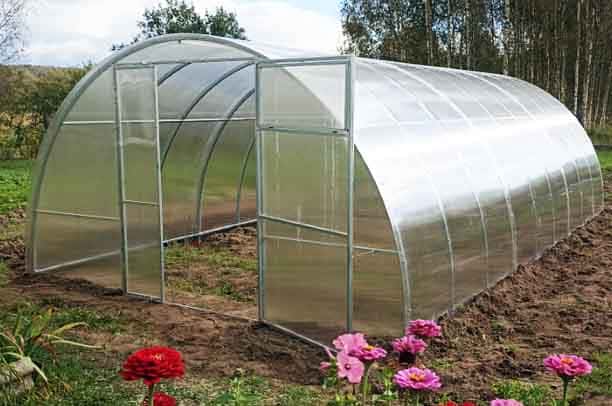 теплица двустворчатая 3,5 шириной