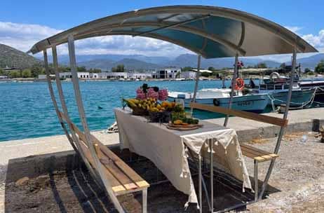 беседка пион